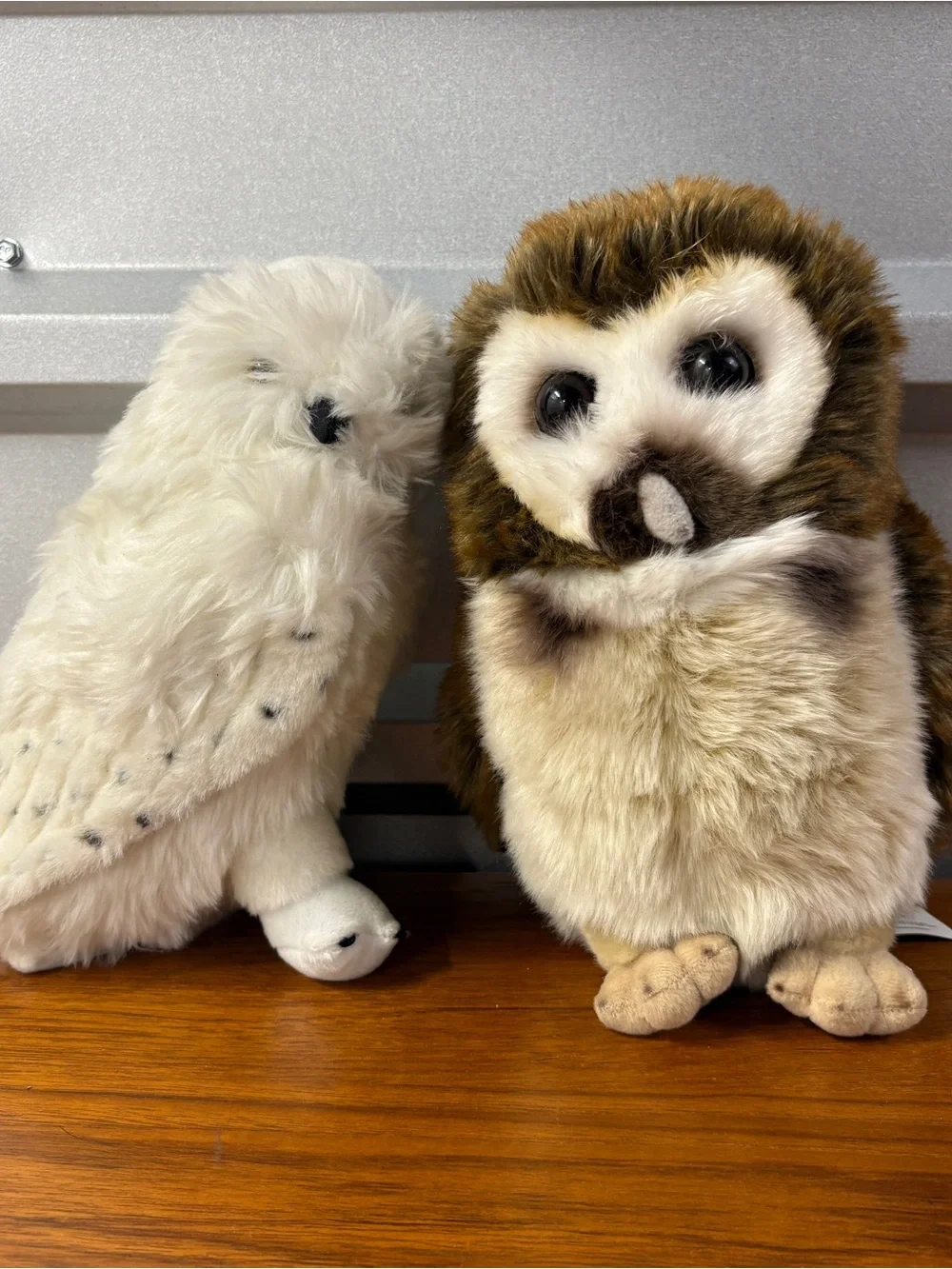 Wizarding World of Harry Potter Pigwidgeon Hedwig Owl Plush Lot of 2